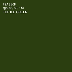#2A3E0F - Turtle Green Color Image